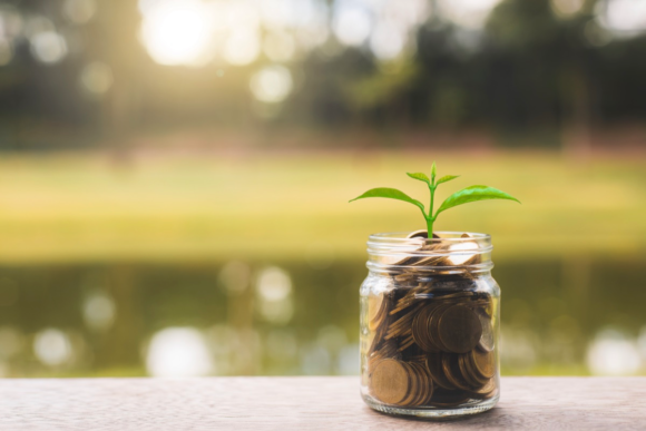 Thrift Savings Plan rules and limits